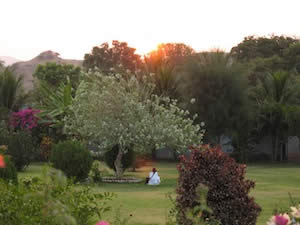 アシュラムの庭を覆う朝日